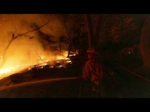 Graze It, Log It, Or Watch It Burn - the full song and music video